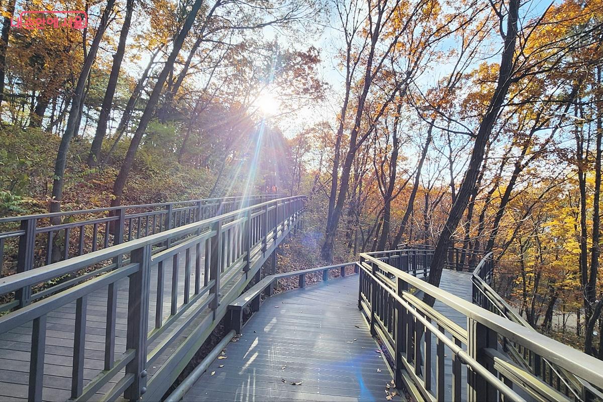 불암산의 나무데크길