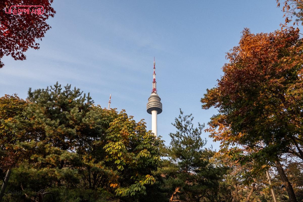건강숲길의 가을 단풍과 N서울타워의 모습이 조화롭다. &copy;이진형