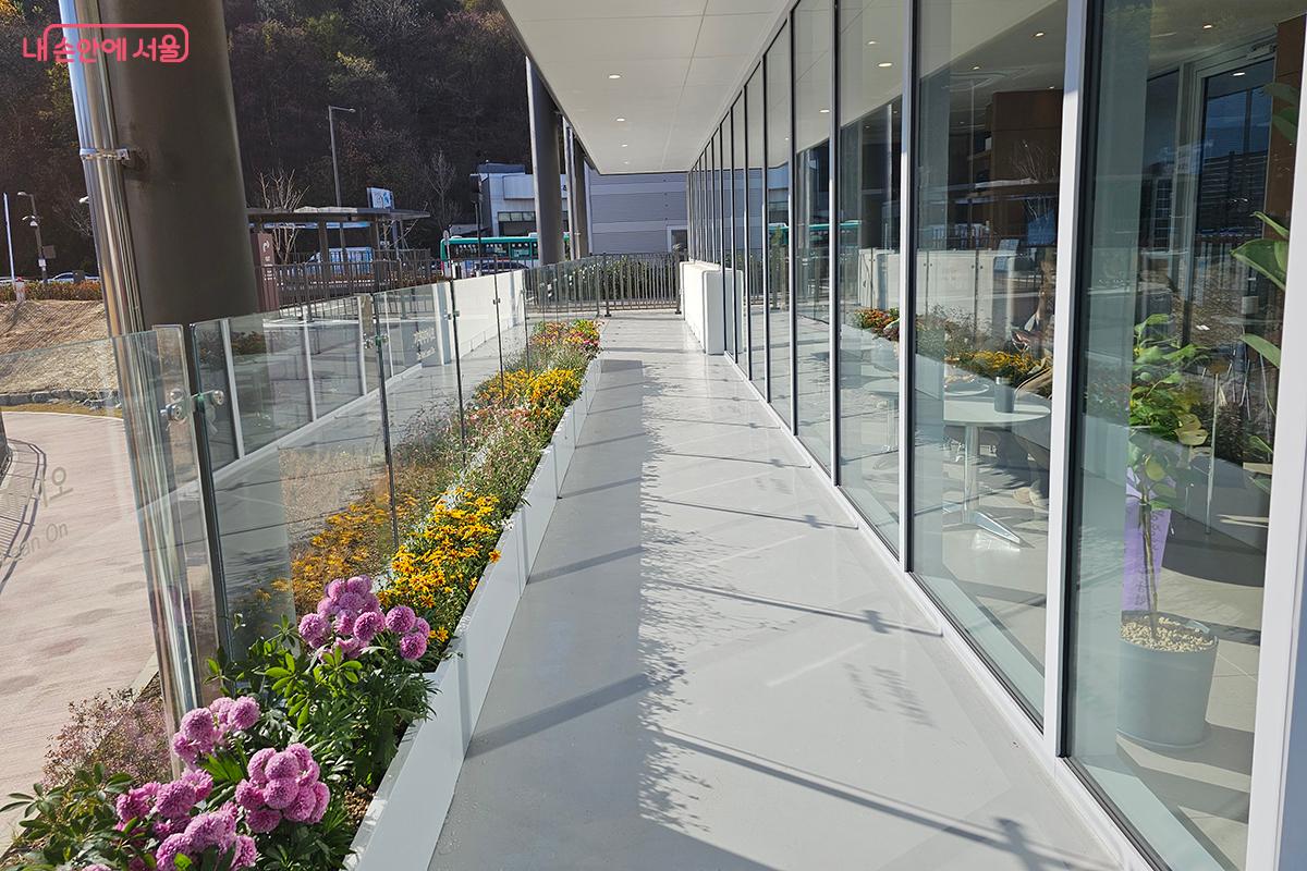 카페 외부가 다양한 꽃들로 장식되어 있어 전망을 한층 화사하게 만든다. ©정향선