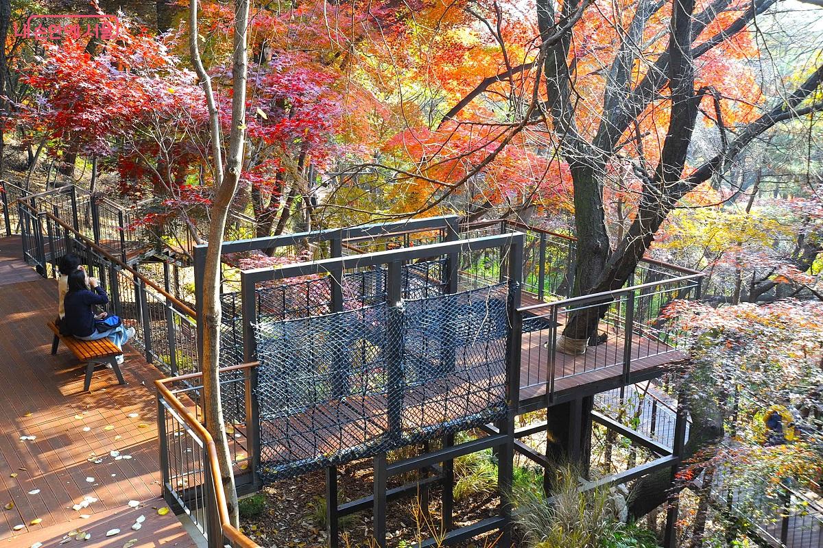 ‘탐험가정원’ 상부에 조성한 ‘모험놀이데크’는 어른들도 즐거운 체험놀이 공간이다. ©조수봉