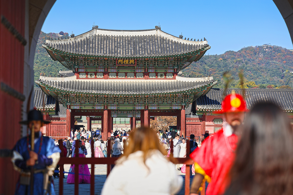 이번 주가 최고 절정! 가을빛으로 물든 경복궁 무료 관람해요