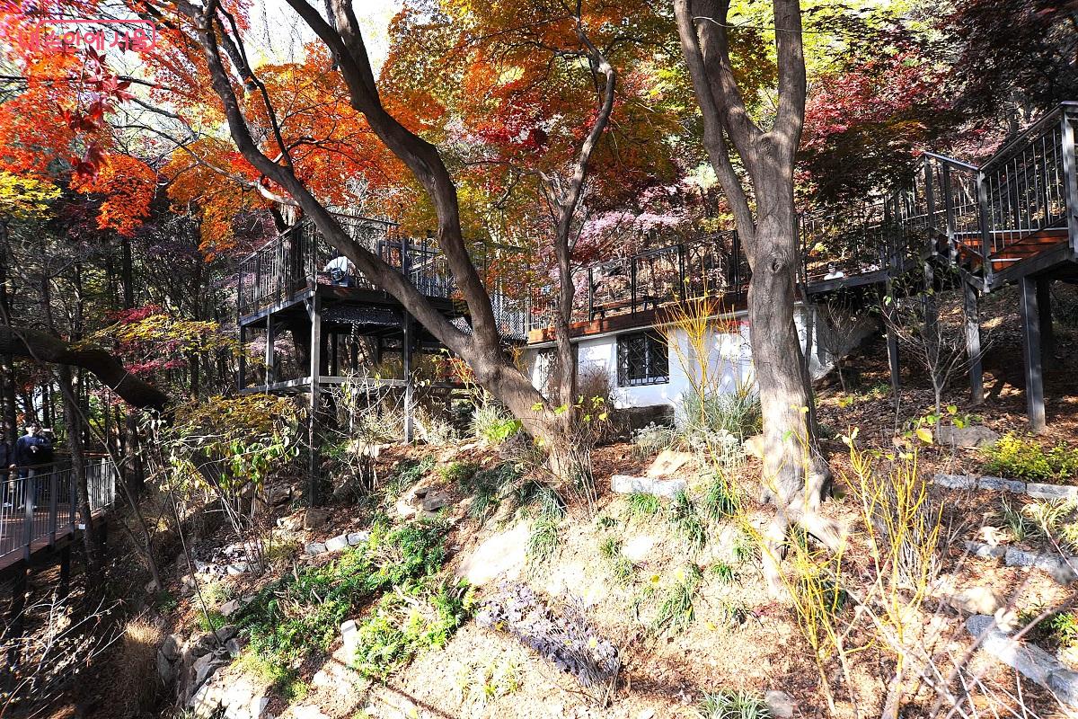 경사면과 폐건물을 이용해 꾸민 ‘탐험가정원’ ⓒ조수봉