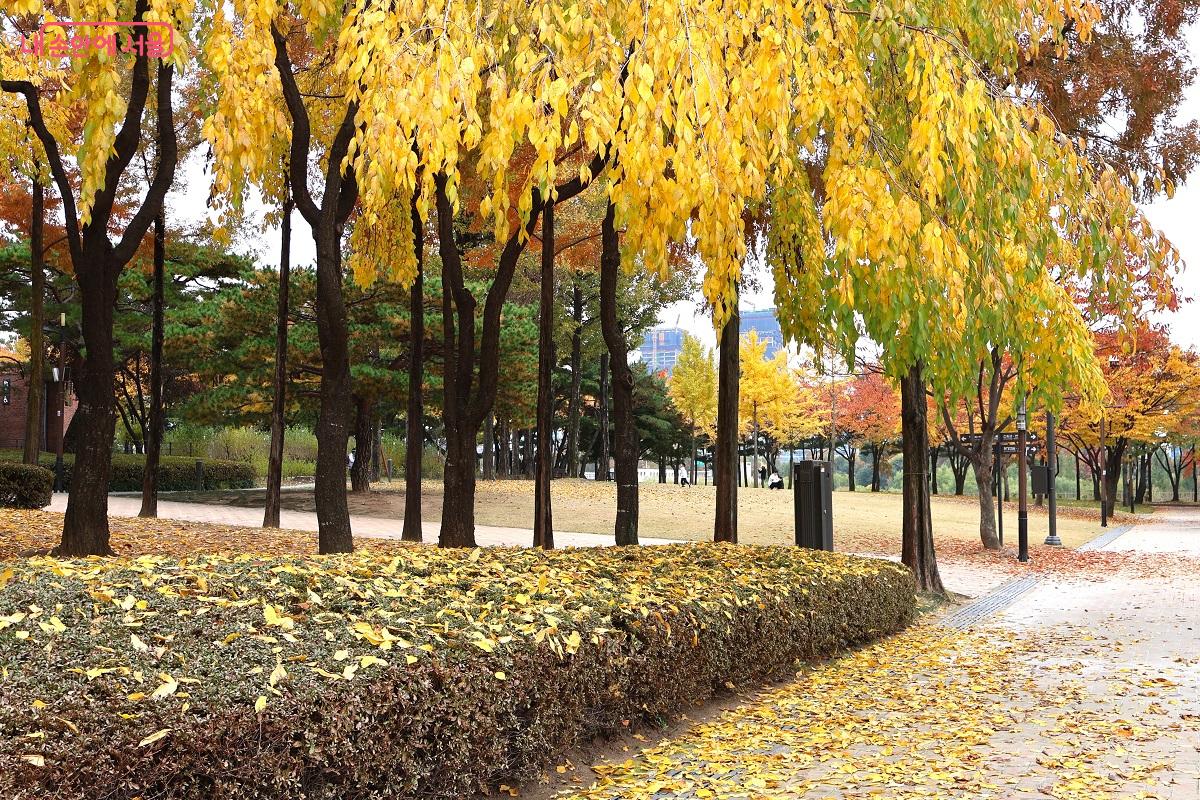 가을의 정취가 물씬 풍기는 선유도공원 풍경 &copy;이봉덕  