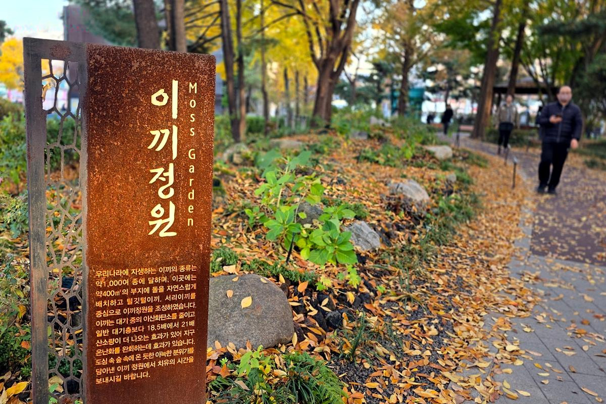 산이 없는 영등포구, 정원도시로 재탄생! (ft. 이끼정원·꽃밭정원)