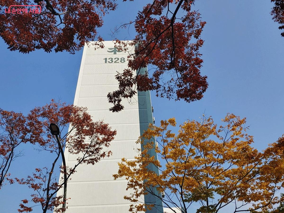 '목동13단지 사잇길'은 터널형으로 조성된 느티나무 가로수 단풍이 아름다운 곳이다. ©엄윤주