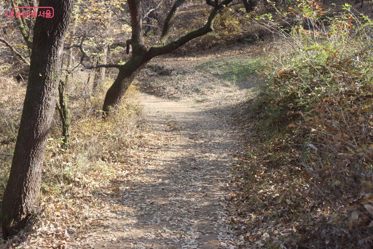 완만한 경사로로 걷기 편하다. ©조송연