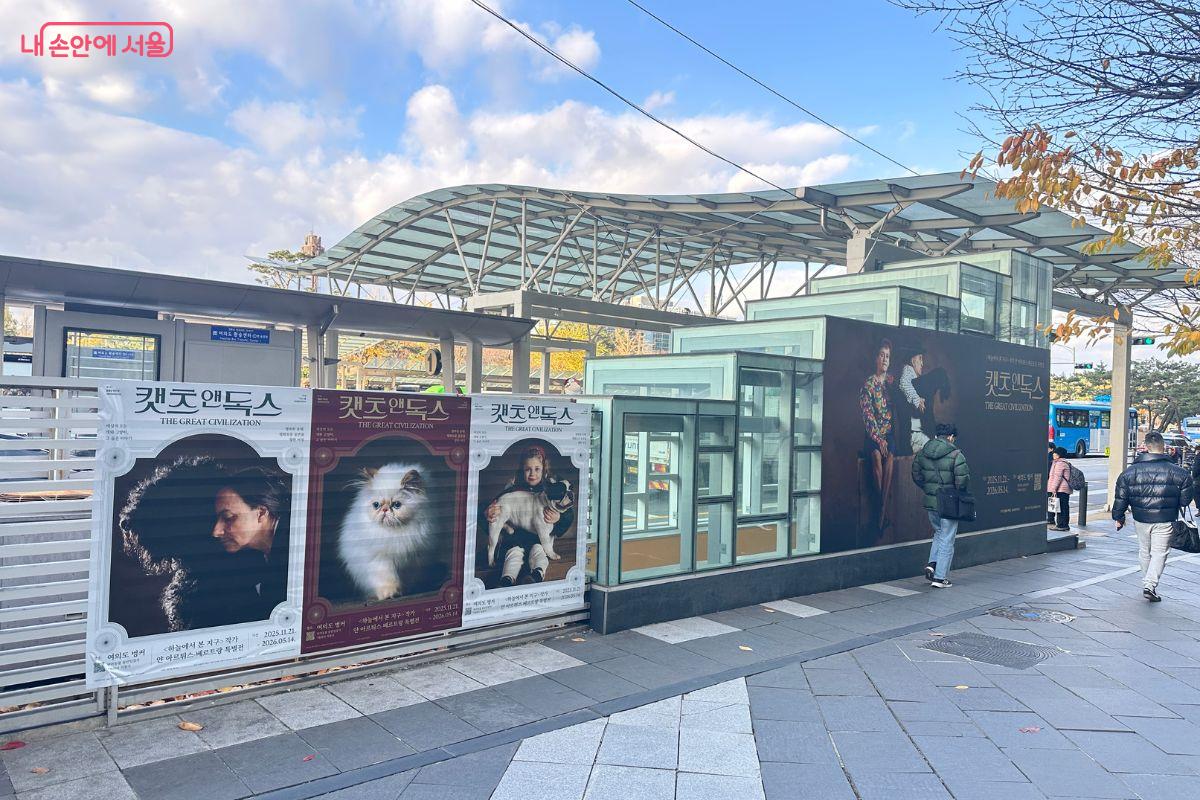 여의도 지하벙커에서 얀 아르튀스-베르트랑의 반려동물 사진·영상 전시가 열리고 있다. ©김재형