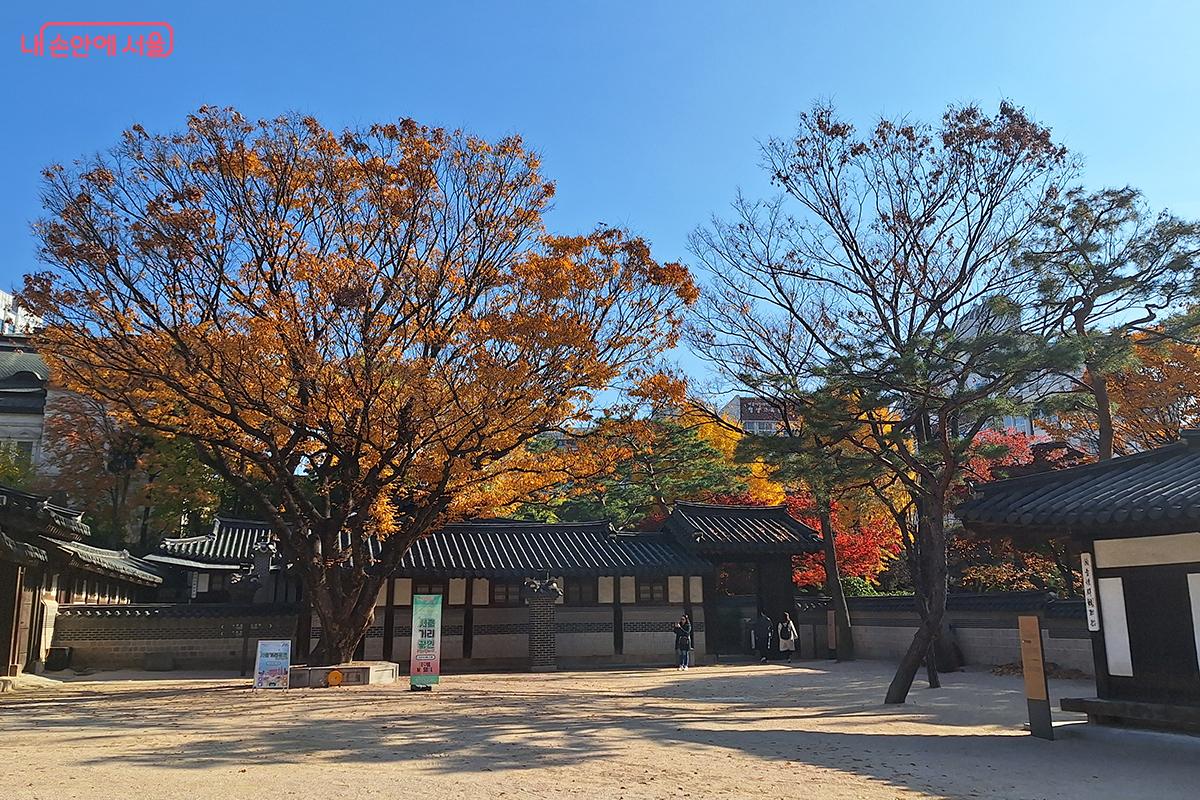 이번 무형유산 공개행사는 우리 전통 장인들의 지혜와 끈기, 그리고 아름다움을 향한 열정을 온몸으로 느낄 수 있었던 귀중한 시간이었다.