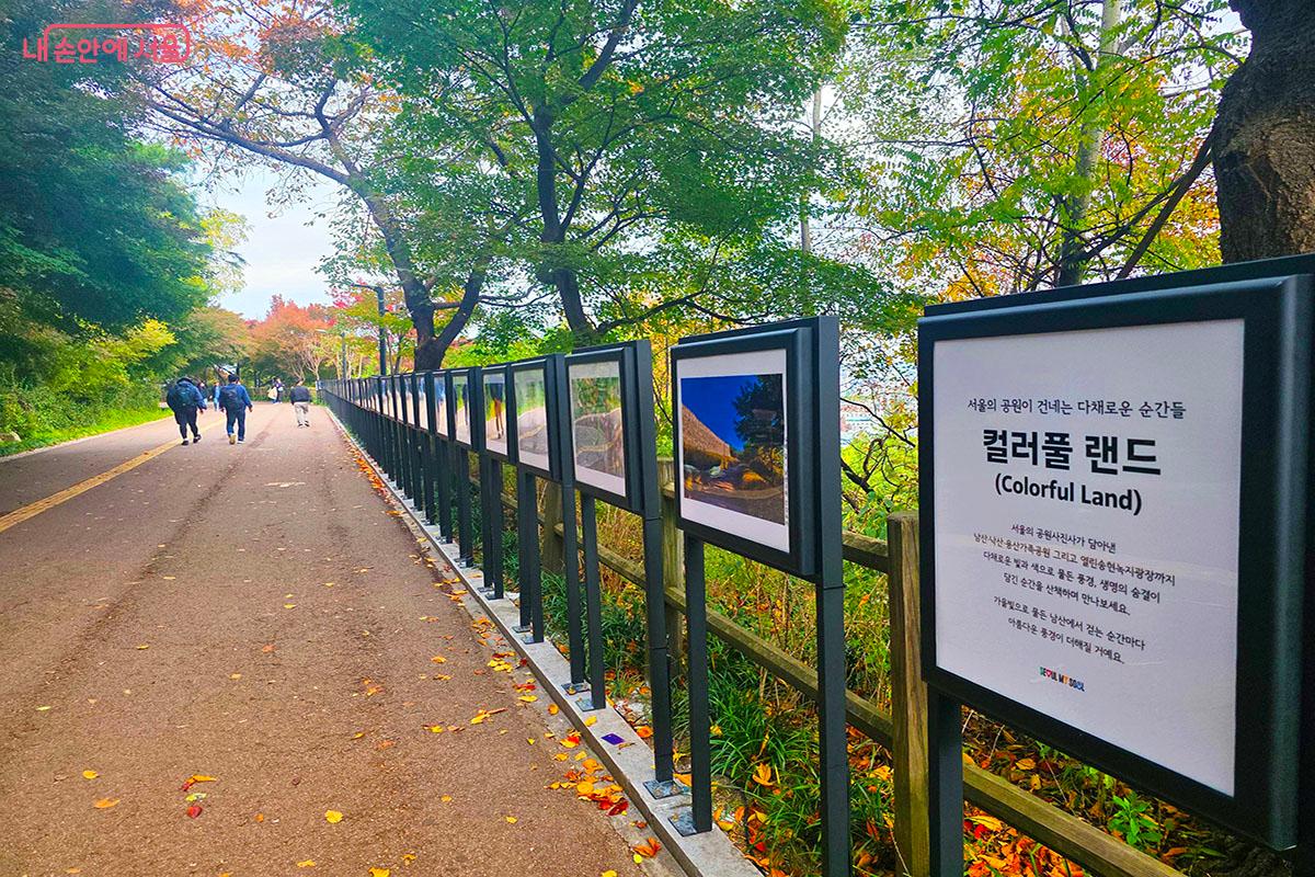 남산공원, 낙산공원, 용산가족공원의 다양한 순간을 기록한 '컬러풀 랜드(Colorful Land)’ 사진 전시 ©이정민