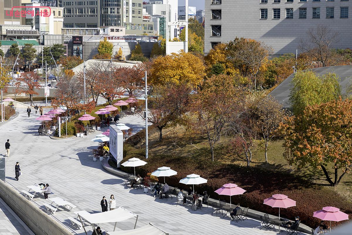 DDP 지붕 위를 걷는 이색투어를 신청해 11월의 맑은 햇살 아래 은빛 곡선 위를 걸었다. ©문청야