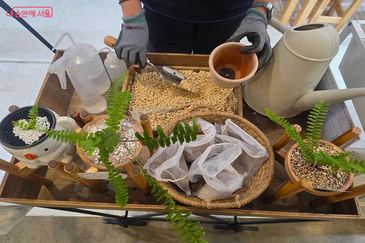 기프트샵에서 줄고사리를 구매 후 분갈이에 대해 배웠다. ©이정민