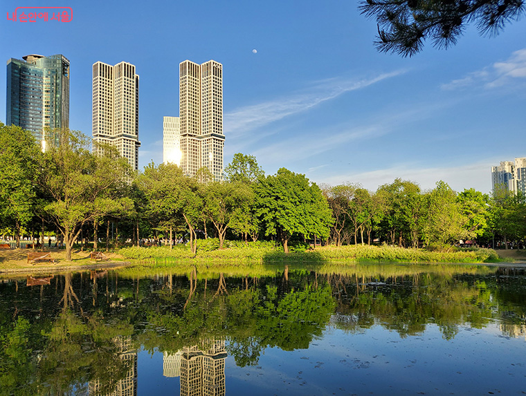 내년 서울국제정원박람회는 ‘서울숲’ 일대에서 5월 1일부터 10월 27일까지 열린다. 