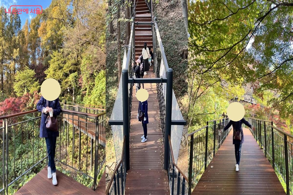 지정 포토존이 아니어도 발길 닿는 곳마다 가을 단풍을 제대로 즐길 수 있다. ©박지영