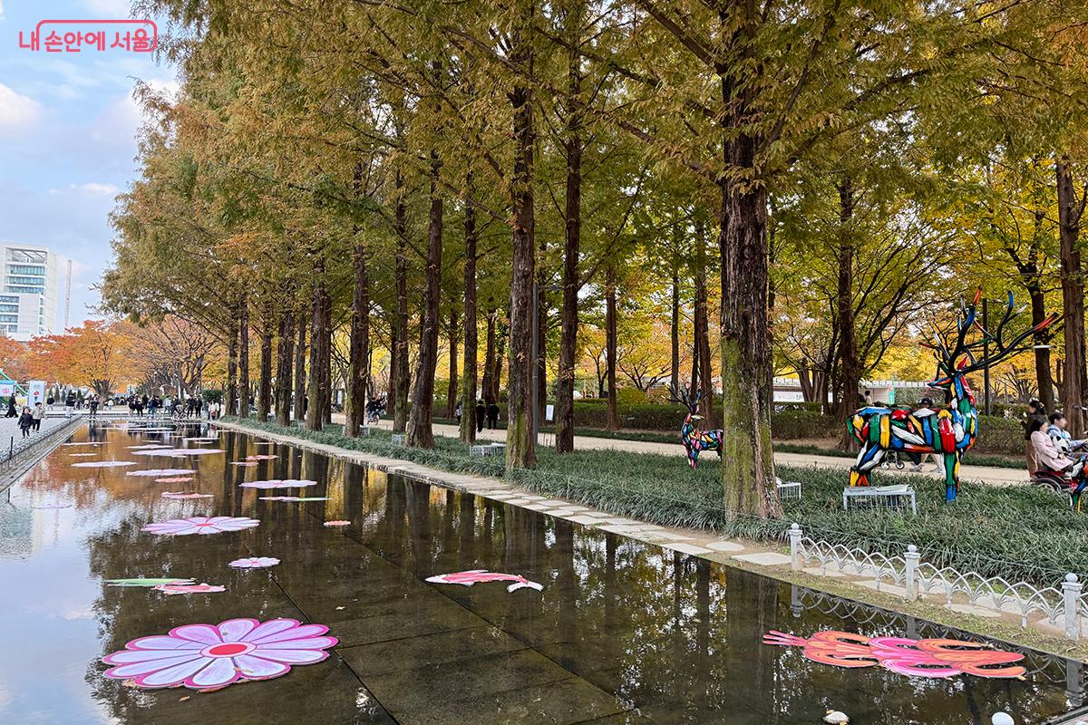 가을빛으로 물든 거울연못 ©김미정