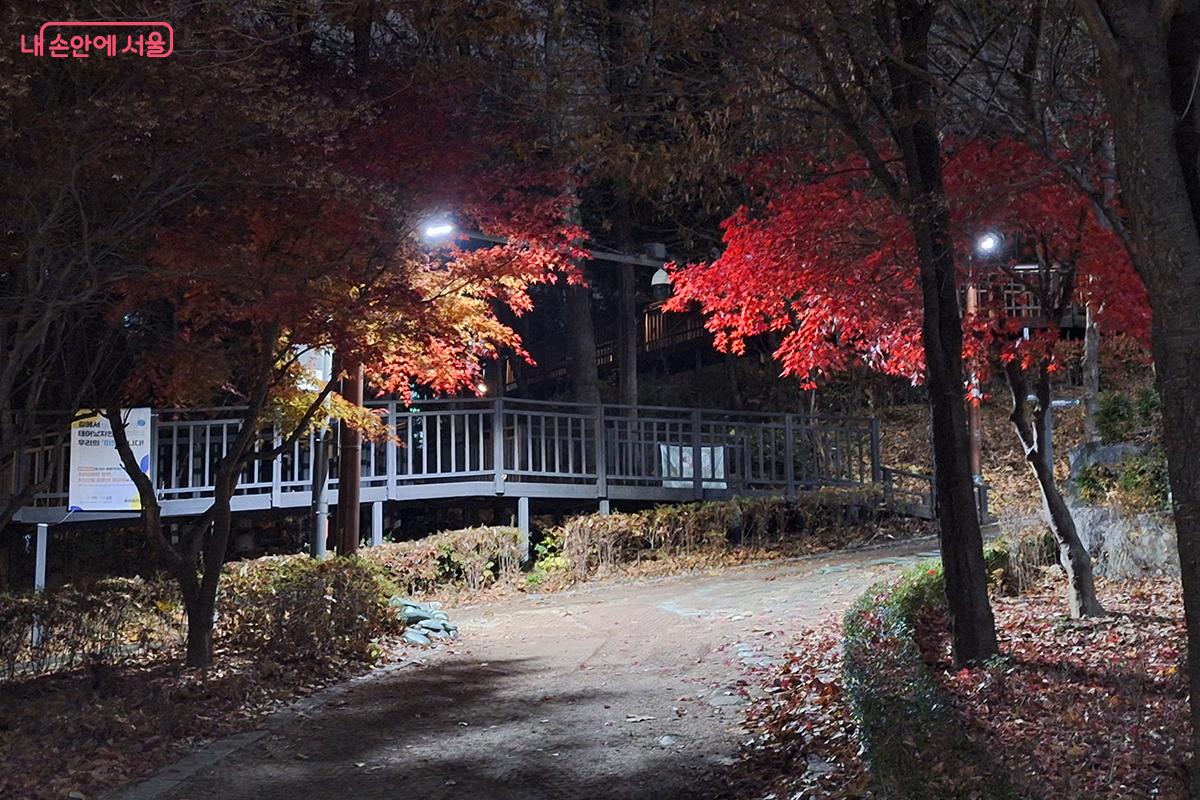 야간 조명과 함께 무장애데크길로 조성된 ‘용마산 스카이워크’로 가는 길 ©백승훈