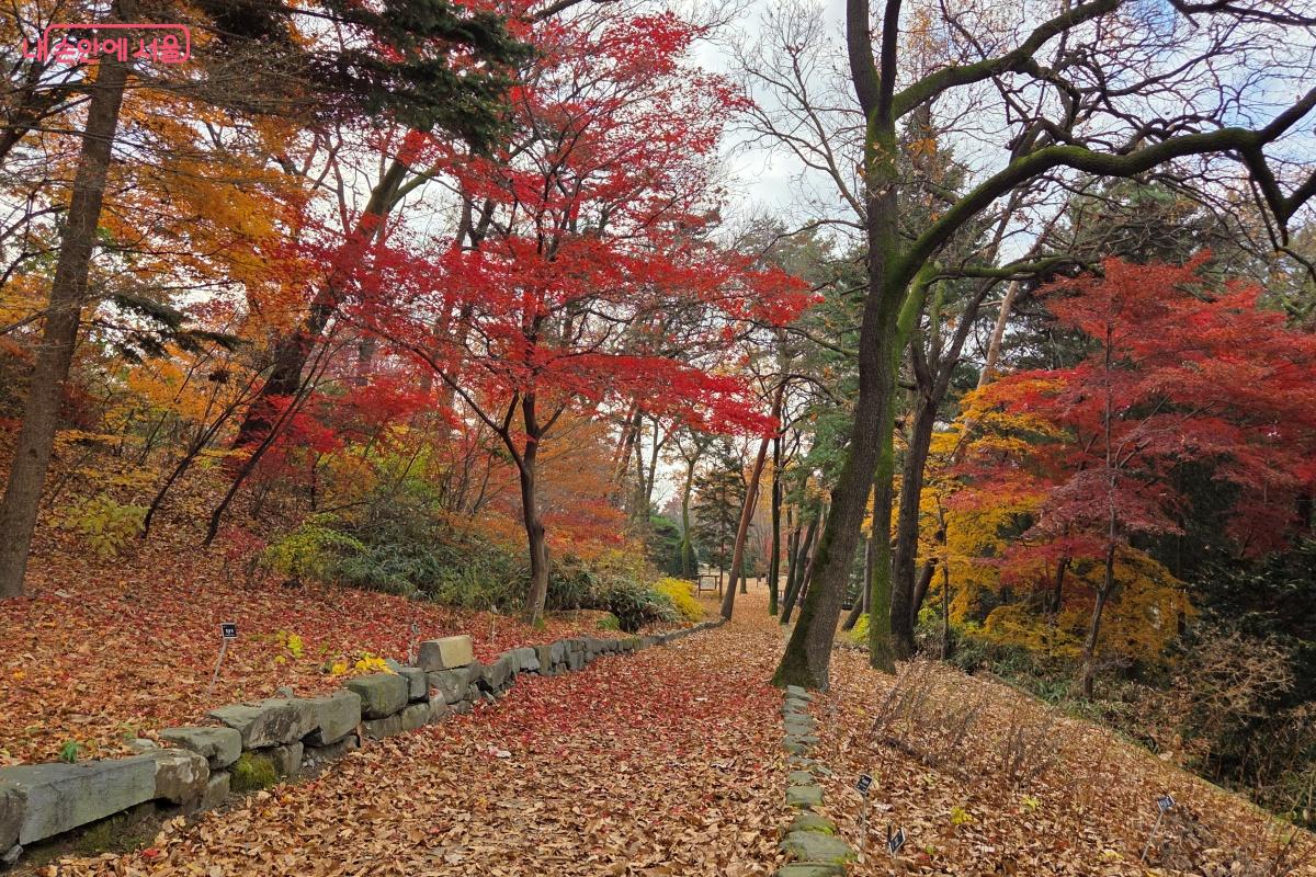가을의 끝자락, 걸을 때마다 행복함을 느끼며 산책할 수 있는 장소였다. ⓒ김미선