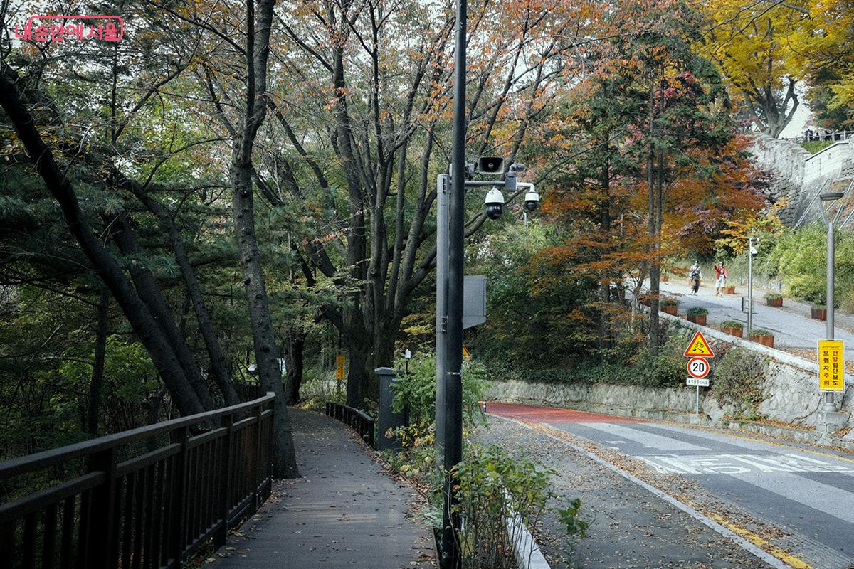 시민의 보행 안전을 확보하고 남산의 자연을 보호하기 위해 조성된 ‘남측순환로 보행전용 안전데크’ ©김아름