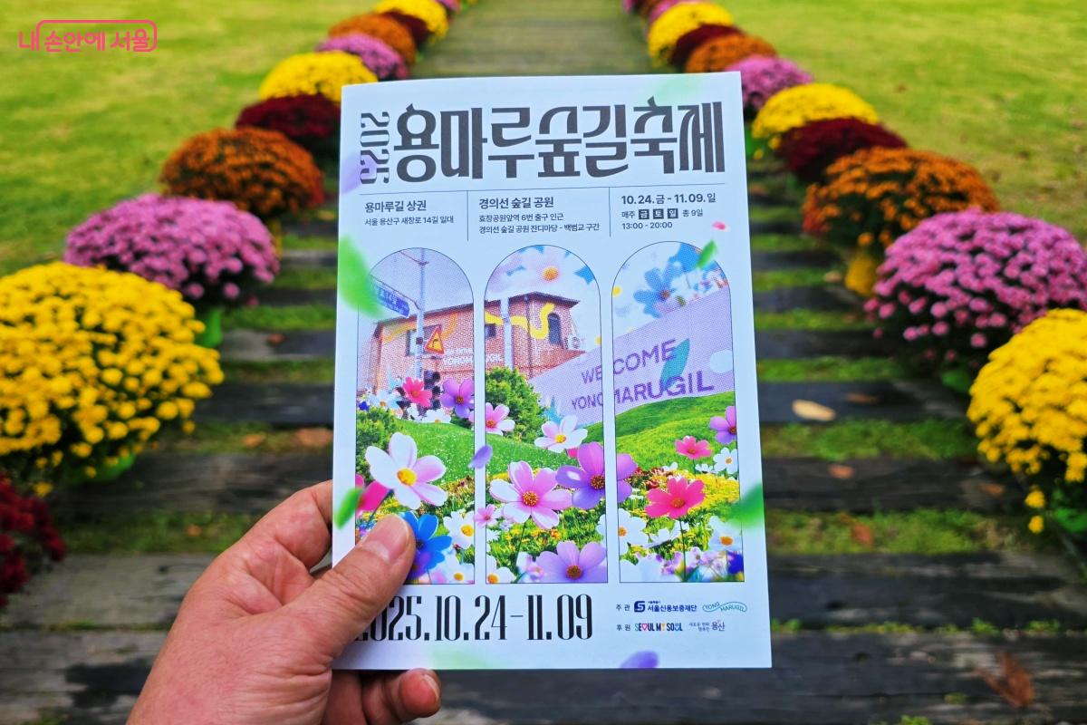 국화꽃 가득한 경의선 숲길공원 새창 고개 구간에서 '2025 용마루 숲길 축제'가 열리고 있다. ©장승철