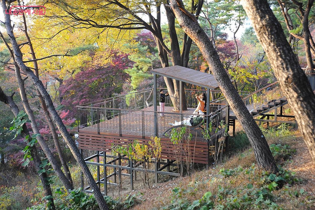 느티나무 그늘 아래 조성한 조망포인트인 ‘느티나무전망대’  ⓒ조수봉