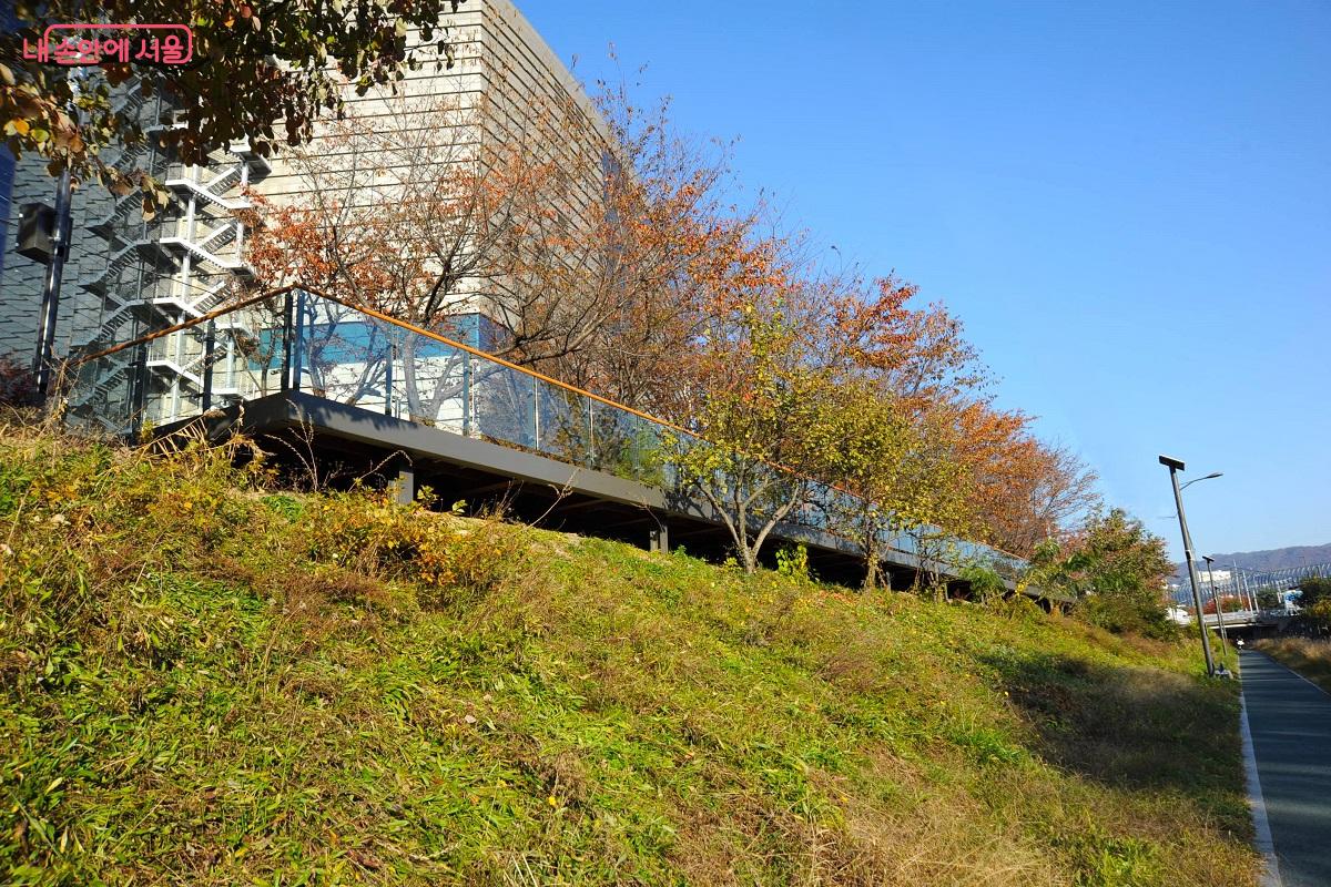 장지천 산책로에서 본 전망데크 ⓒ조수봉