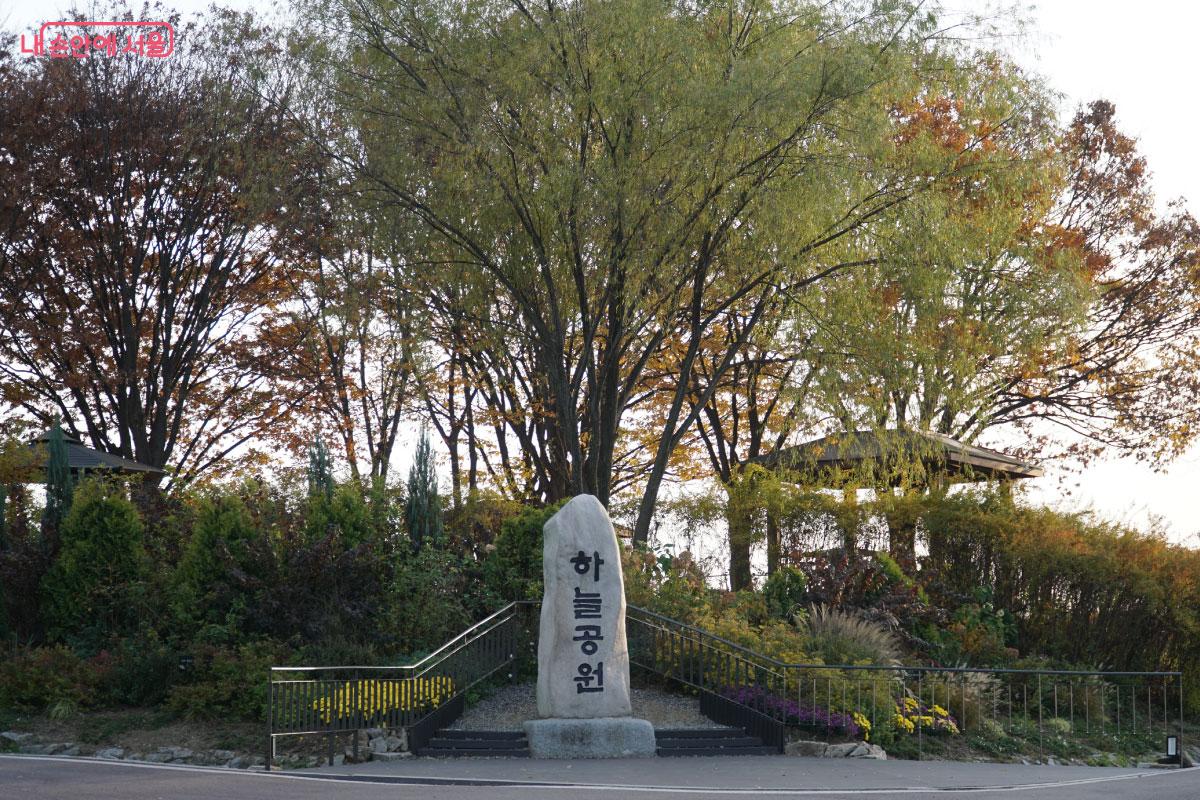 금방 도착한 하늘공원 &copy;홍혜수