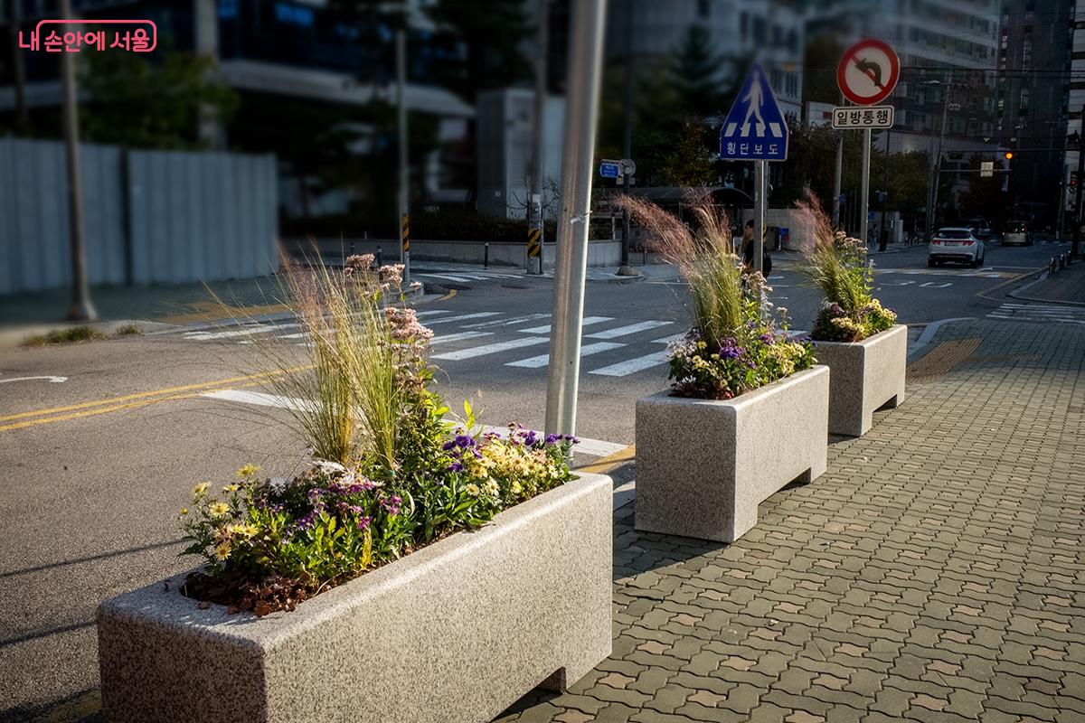 서울 마포구 열차버스 정류장 주변에도 작은 정원이 가꿔지고 있다. &copy;이진형