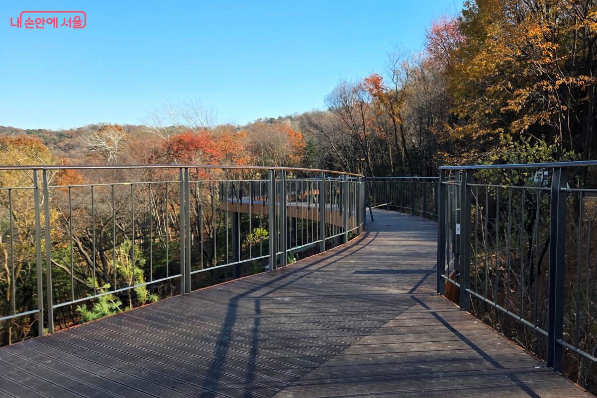 ‘하늘숲길’과 이어져 ‘하늘쉼터’로 연결된다. ©김미선