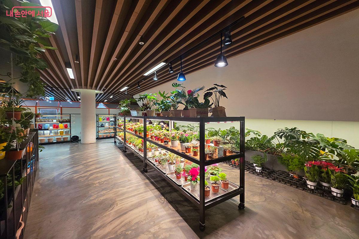 식물원 기프트샵 내부는 식물과 화분, 정원용품 등으로 가득하다. ©이정민