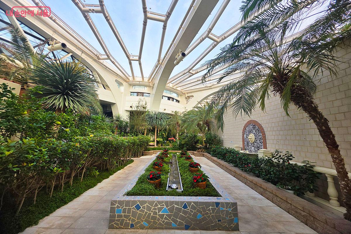 크리스마스 분위기의 플레임, 포인세티아, 고양이 조각으로 꾸며진 포토존 ©이정민