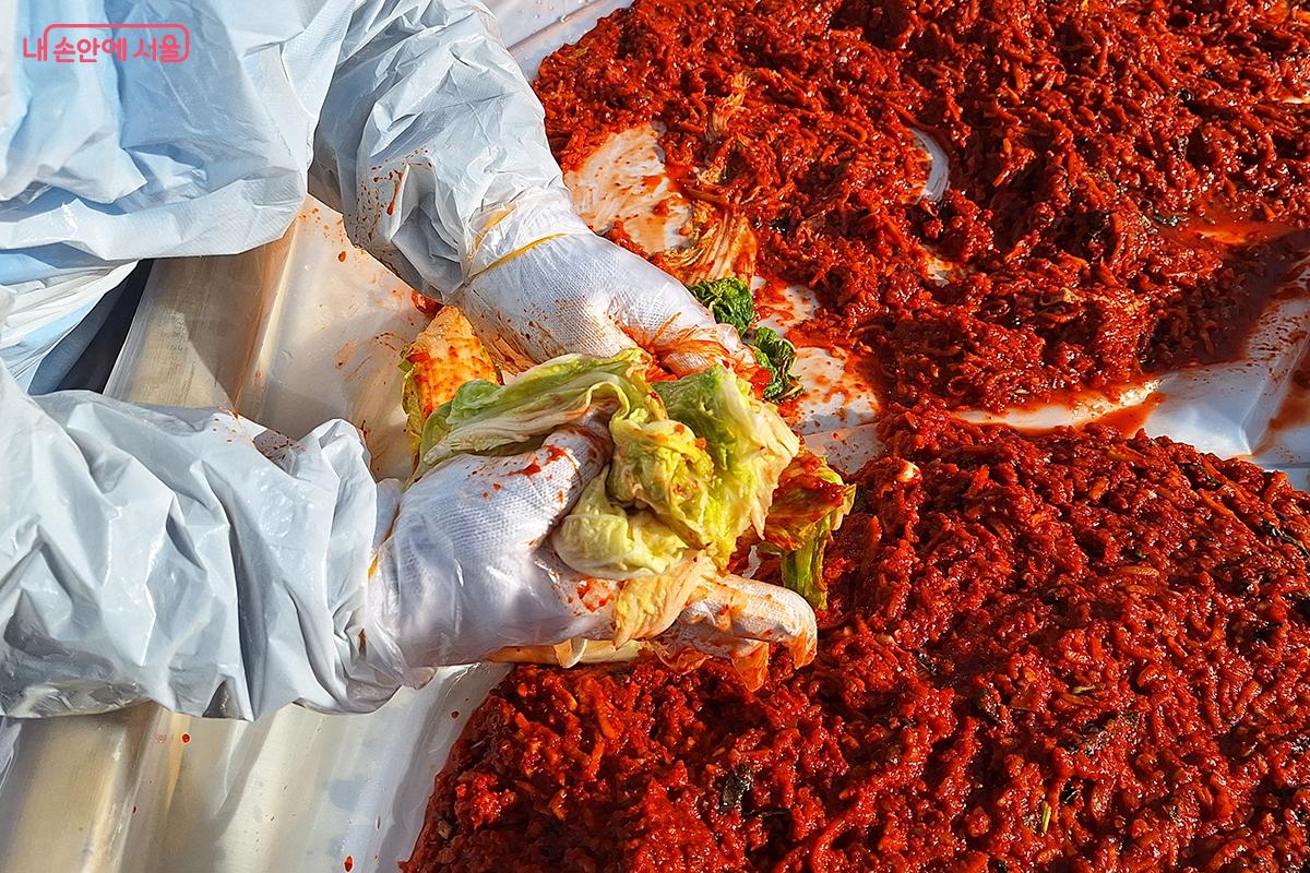 한 자원봉사자가 맛있는 김치로 태어나는 배추 속을 들어보이고 있다. &copy;정향선