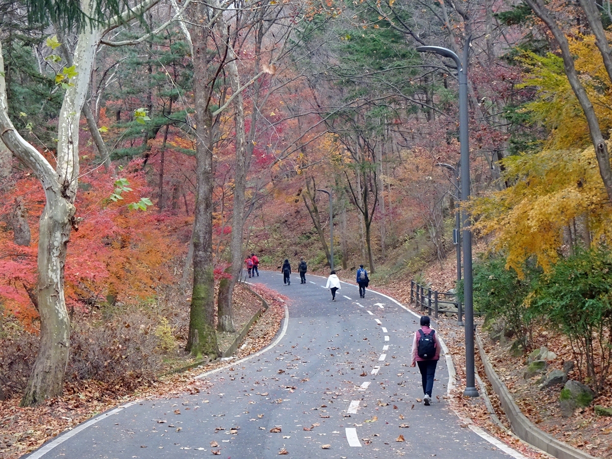여긴 과천? 서울? 서울대공원&middot;서울경마공원 속 숨은 힐링 코스!