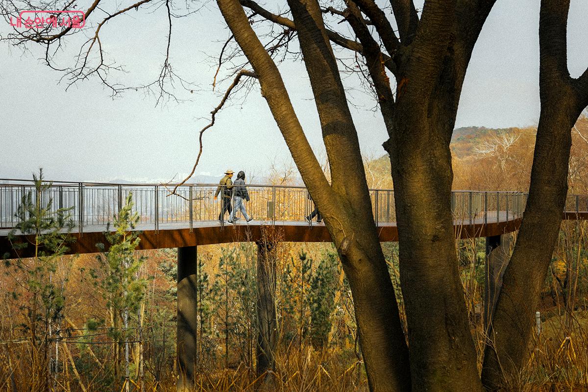 주변에 매력 가든을 조성해 다채로운 숲 풍경을 즐길 수 있다. ©김아름