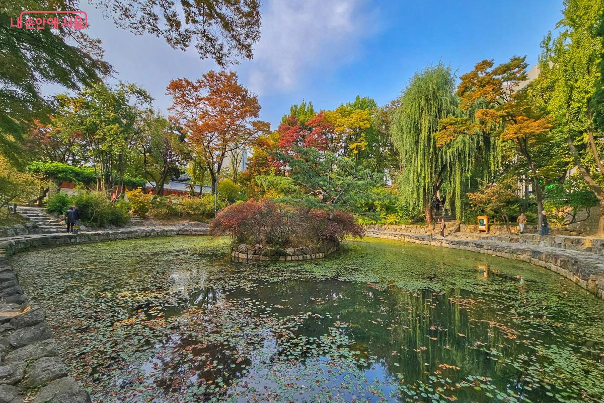 덕수궁 연못에도 호젓한 가을이 찾아왔다. ©이선미