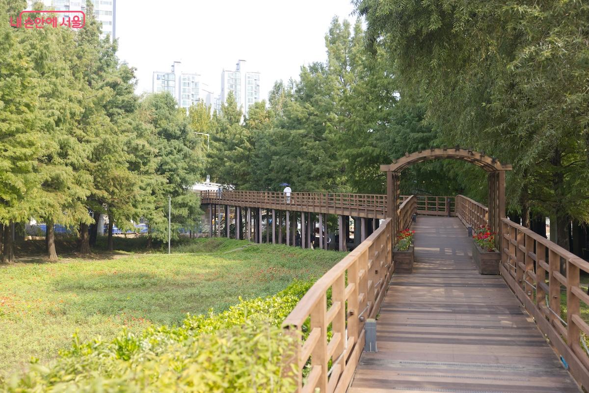 깊어가는 가을을 만끽하며 새롭게 변신한 양평유수지생태공원을 산책해 보자. ©임중빈