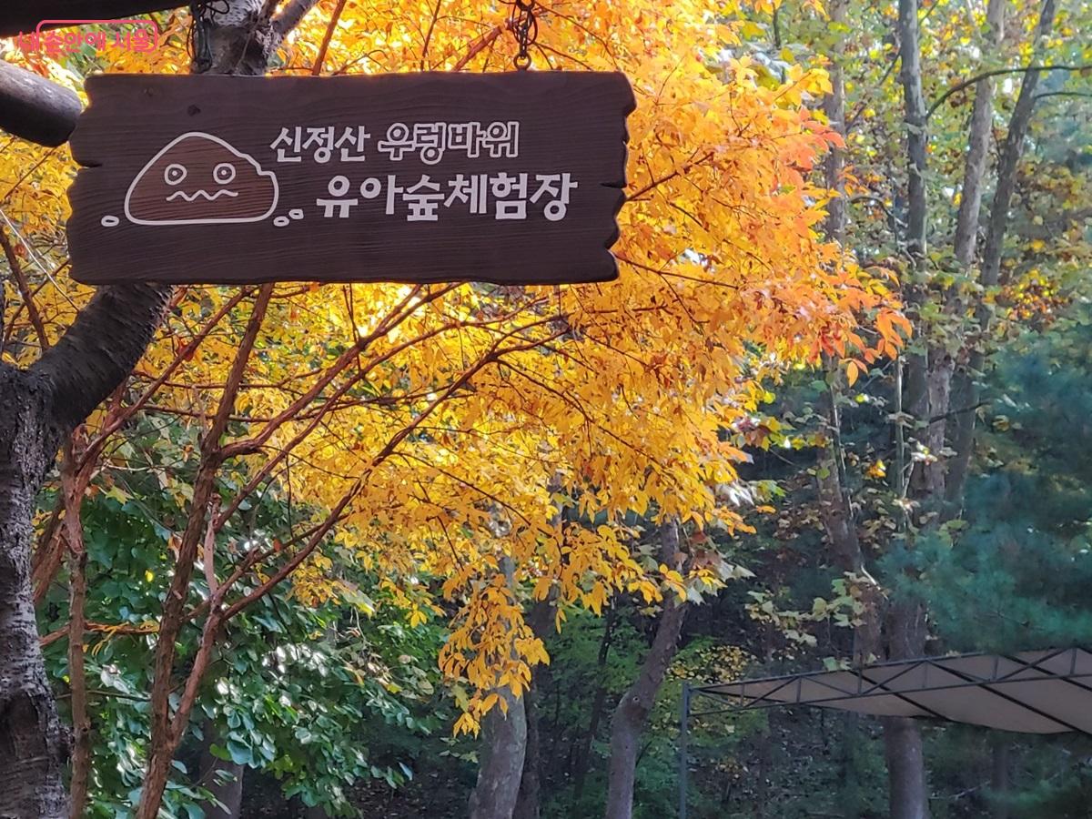 신정산둘레길 유아숲체험장 주변 단풍 ©엄윤주