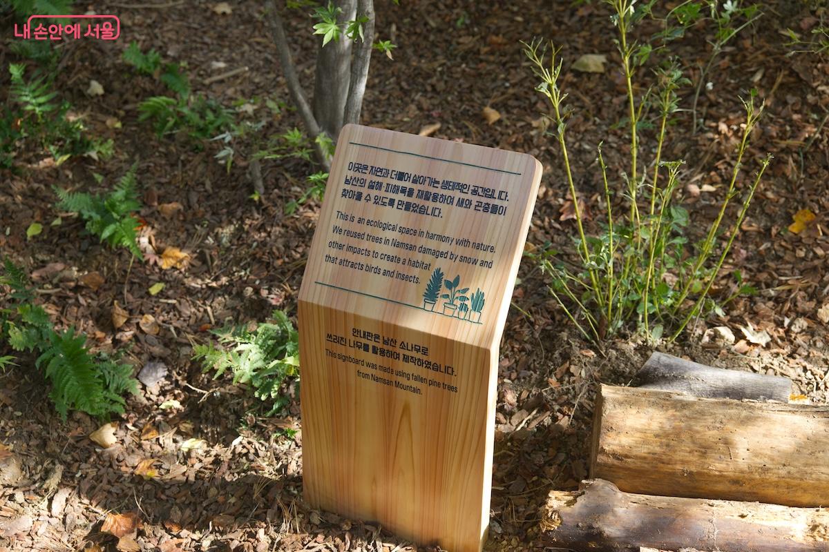 남산과 자연환경을 최대한 훼손하지 않는 숲길 사업이 진행되었다. &copy;임중빈