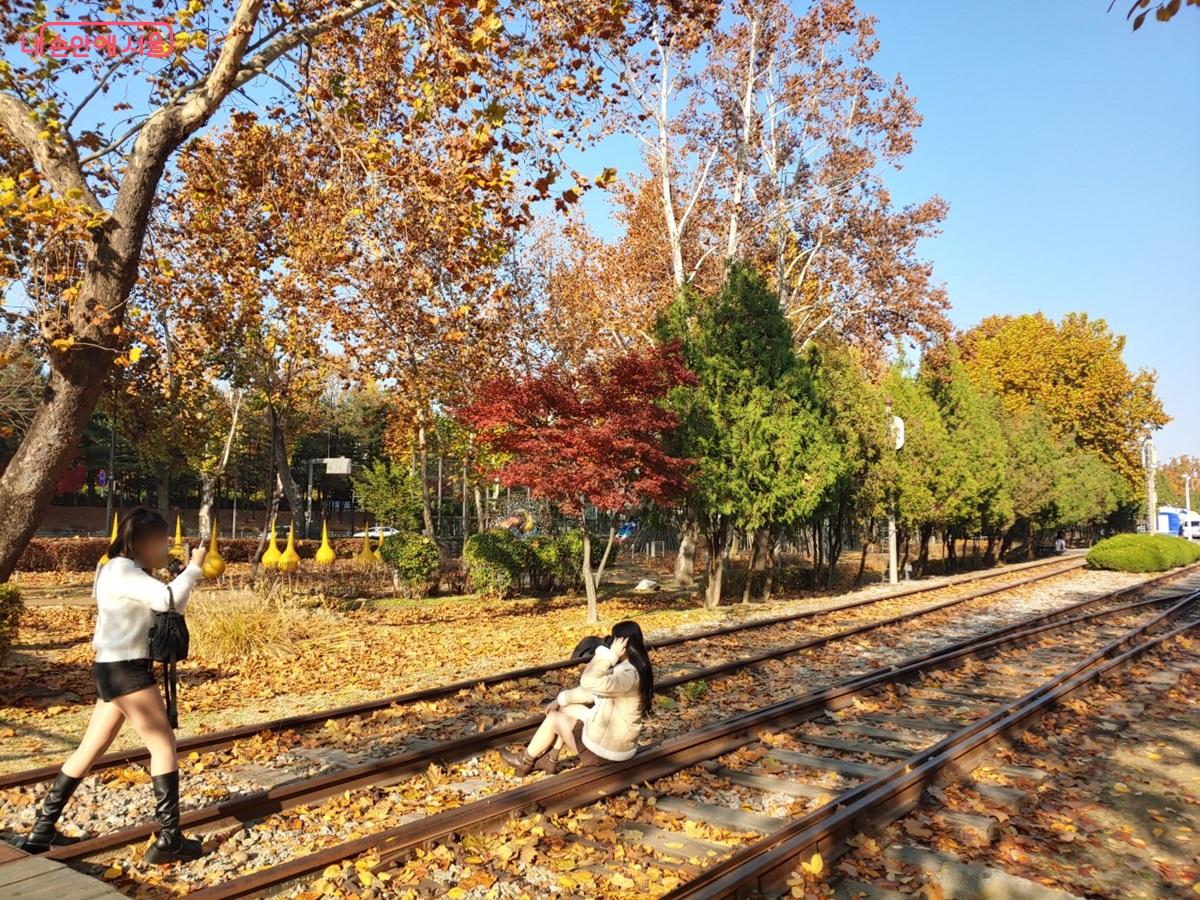 화랑대철도공원은 단풍과 철도, 기차를 배경으로 멋진 사진을 담기 좋다. ©김병규