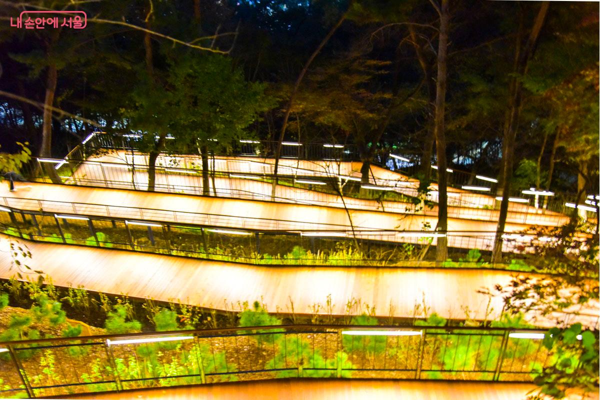 남산 하늘숲길은 친환경 조명으로 동식물의 생육을 방해하지 않도록 조도를 조정해 어두운 밤길을 밝힌다. &copy;최기곤