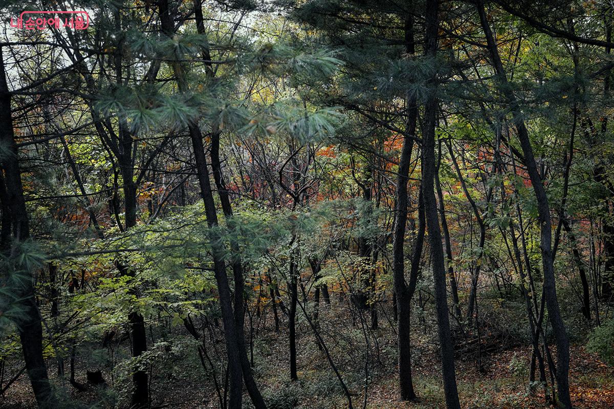 이 일대는 생물 다양성이 풍부하고 특별히 보호 가치가 높은 지역으로, <자연환경보전법> 제 12조에 따라 생태경관보전지역으로 지정돼 있다. ©김아름