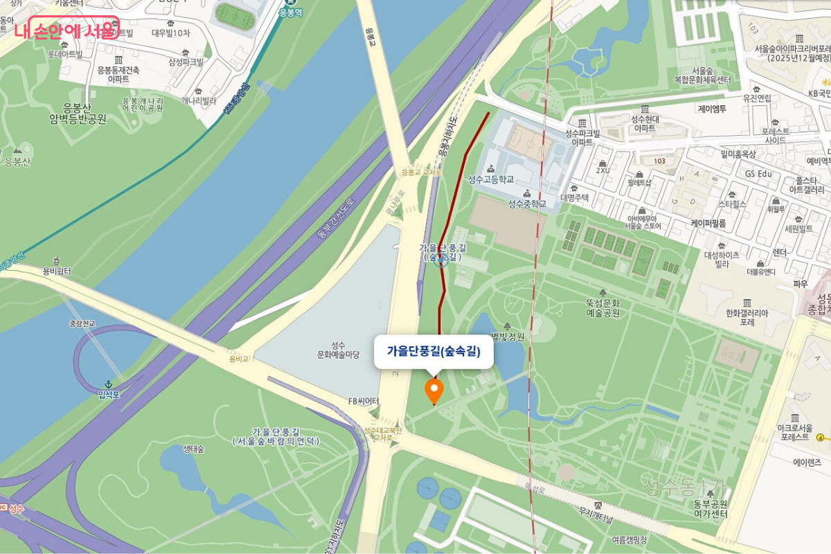 서울시 지도 위에 '가을단풍길(숲속길)'이라는 말풍선과 위치 표시 아이콘이 떠 있다. 지도에는 서울숲 내의 주요 시설과 주변 도로, 응봉역 등이 표시되어 있어 서울숲 내 은행나무숲 길의 정확한 위치를 알려준다. ©스마트서울맵