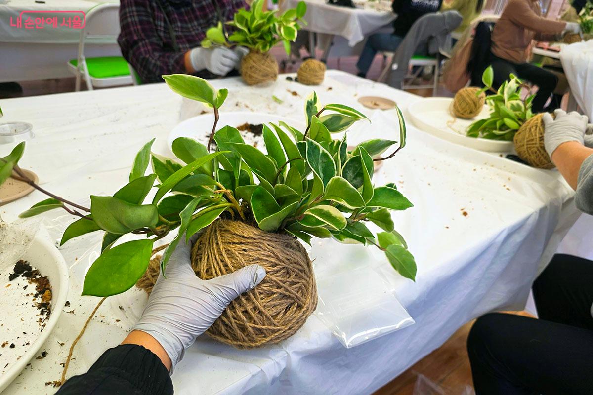 식물의 흙에 이끼를 붙여 단단히 만든 ‘숲을 담은 이끼볼’ ©이정민
