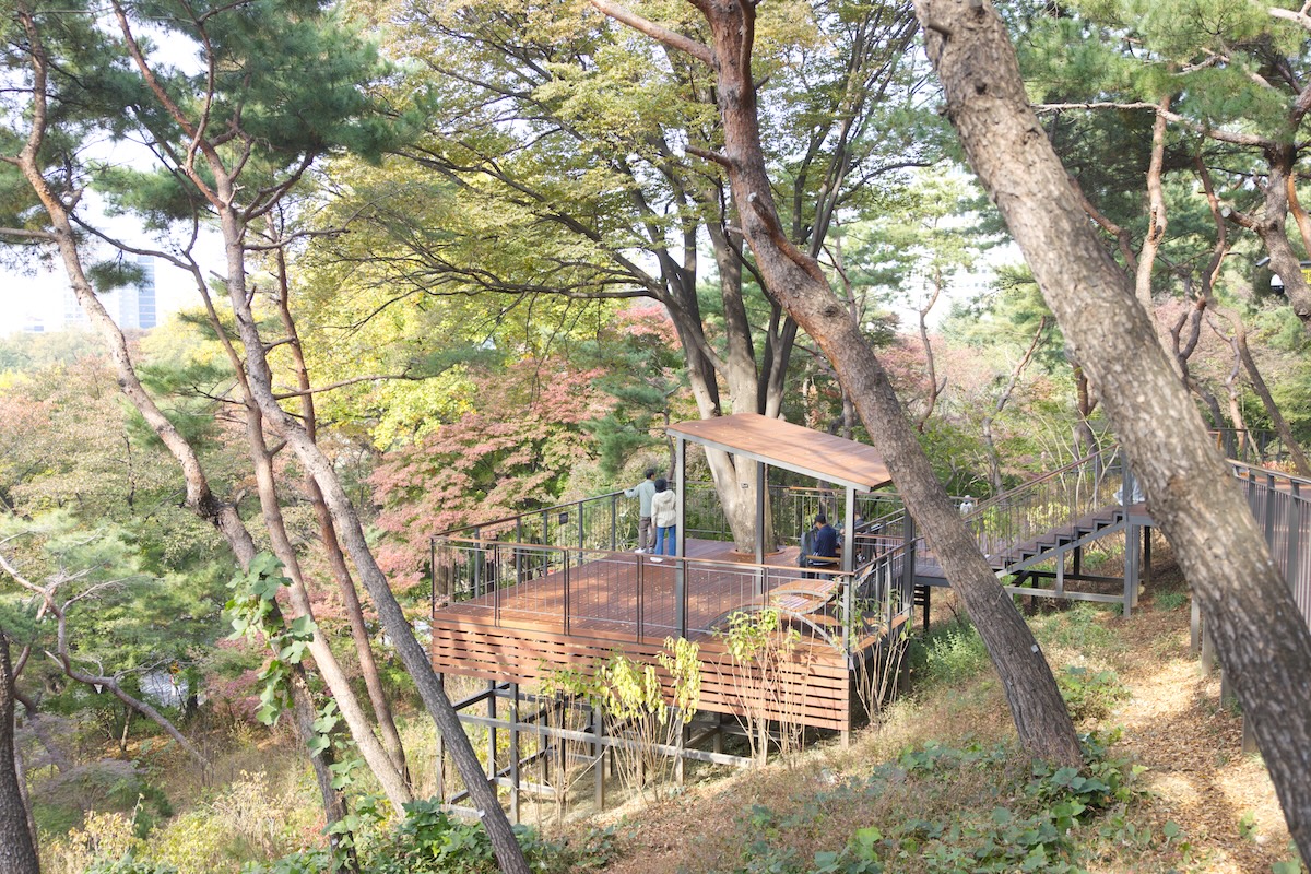 남산을 더욱 가깝고 즐겁게! 산책 명소로 떠오르는 '남산 하늘숲길'