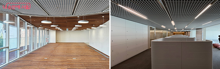 브로콜리 지역정보 관련 사진 6