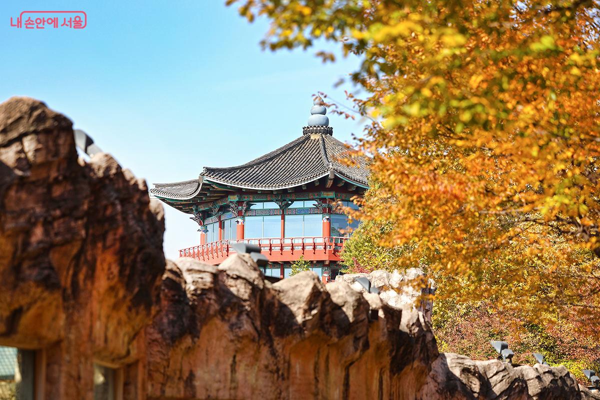 단풍과 어우러진 대공원 팔각당의 모습 ©김주연