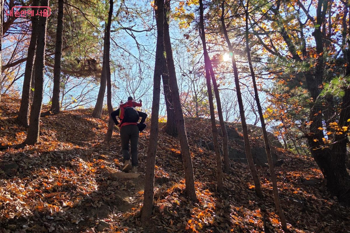 계속 이어지는 계단이 힘들 때면 산길을 이용해 올라가도 된다. ©김미선