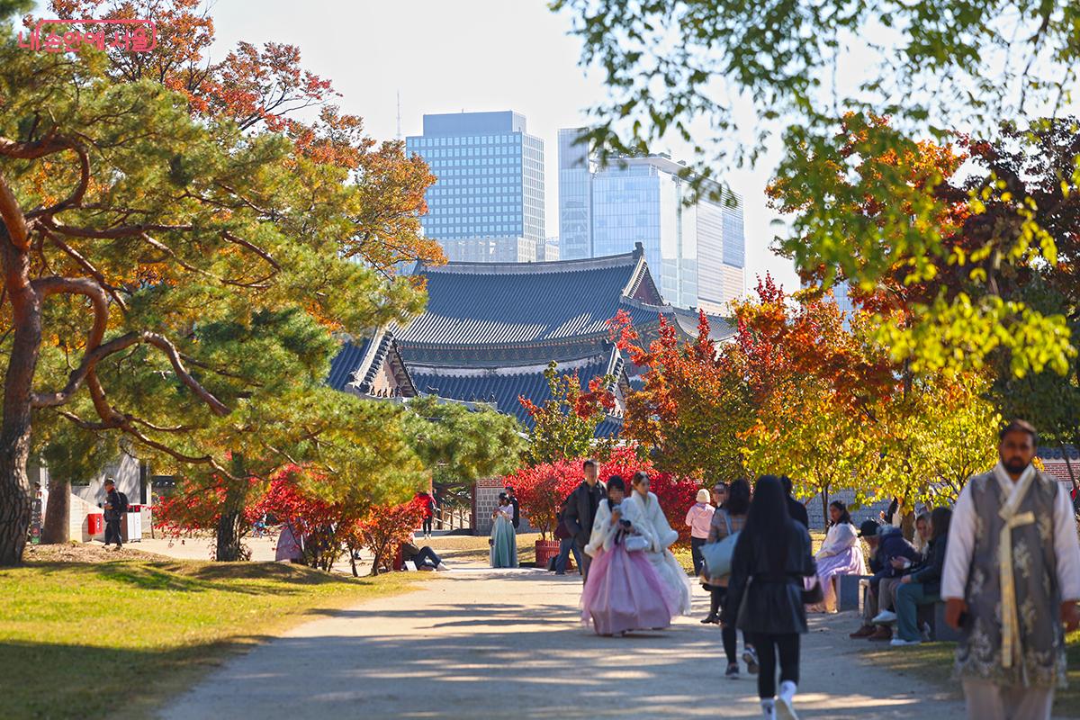 오색으로 물든 경복궁 내 가을 단풍이 운치를 더한다. ©김주연