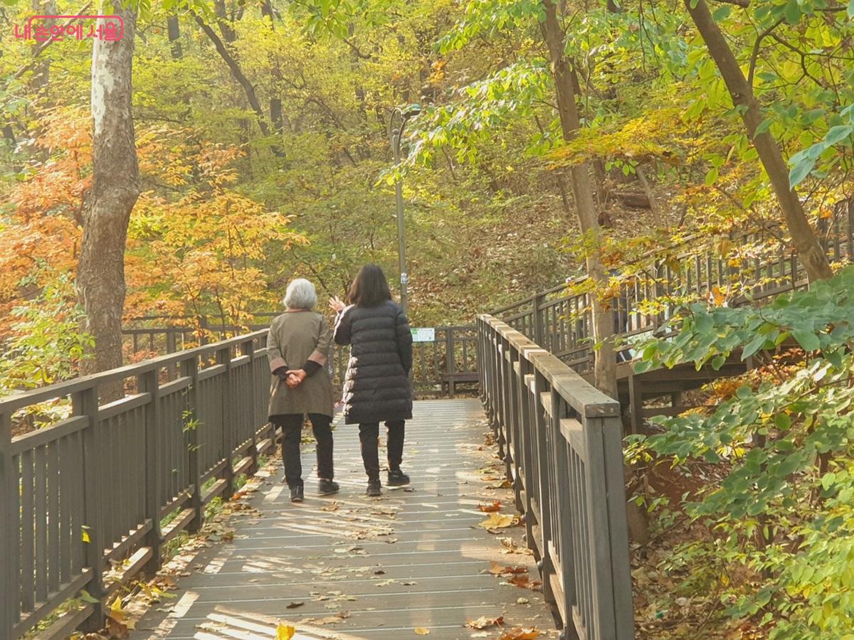 신정산둘레길 중  2.4km가 무장애 데크길로 조성되어 있다. ©엄윤주