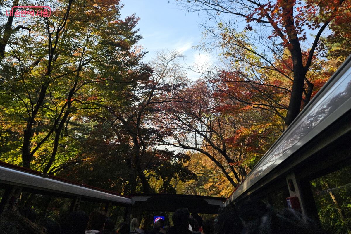 시원하게 달리기 시작하니 모두가 신이 나서 환호성을 지르며 즐거워 했다. &copy;염지연