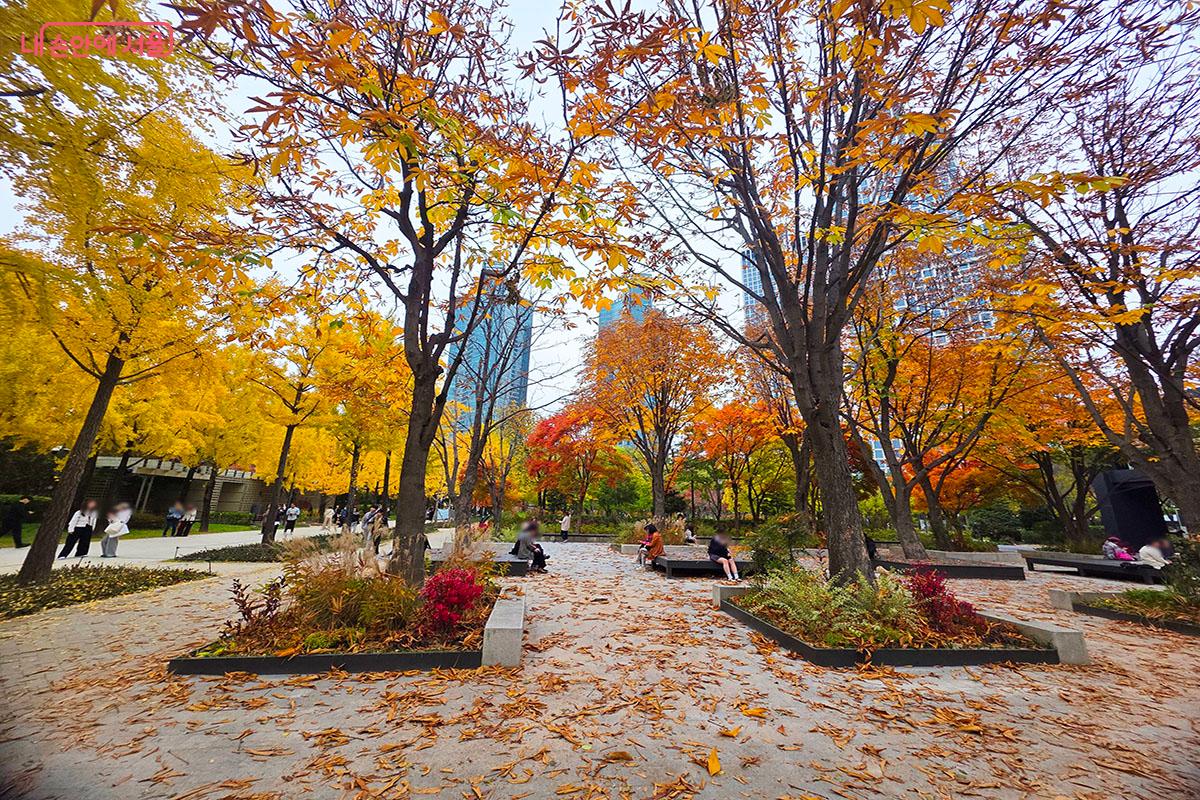 단풍으로 물든 서울숲은 어디서 바라봐도 그림 엽서 같다. ©이정민