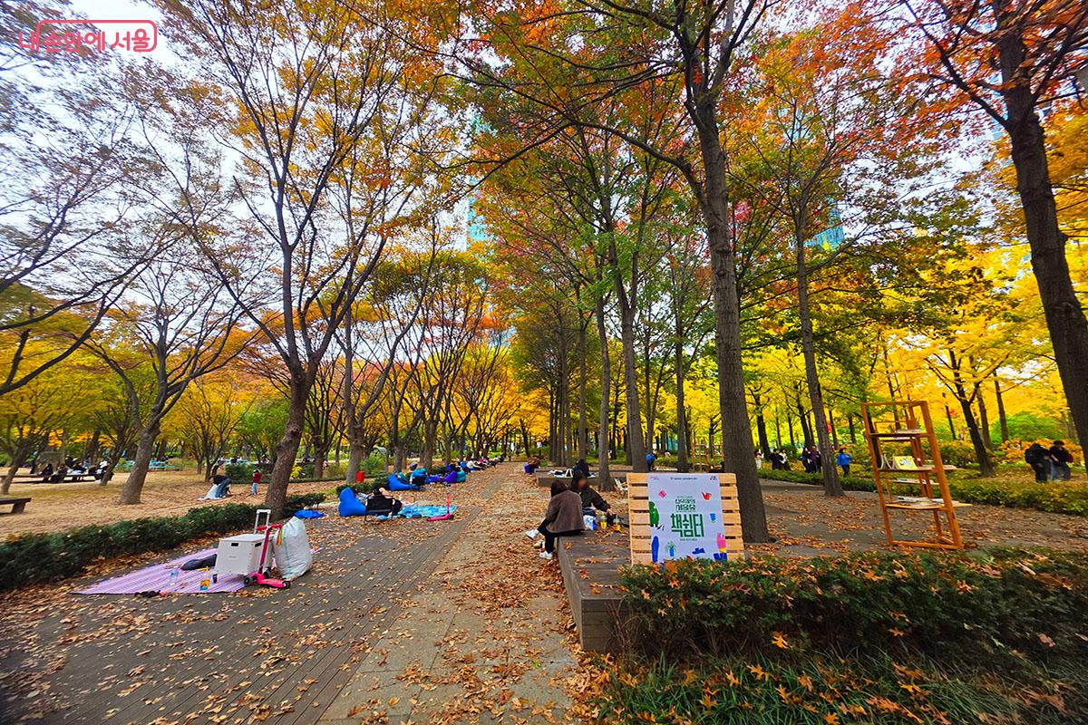가을의 정취를 느끼며, 책과 함께 조용한 휴식을 즐길 수 있는 책쉼터 ©이정민